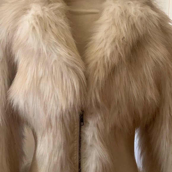 Jacket - Picture 2 of 5